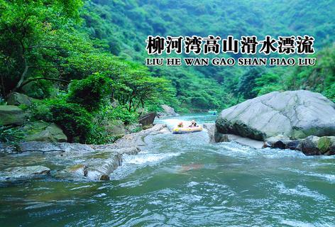玩具店里的娃娃